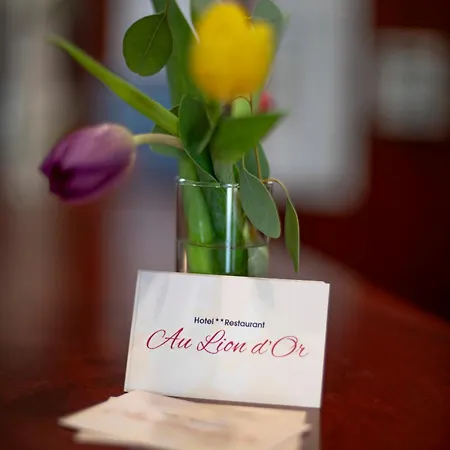 Logis & Restaurant Au Lion D'or 2* Burnhaupt-le-Haut