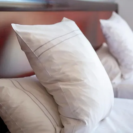 酒店 Logis & Restaurant Au Lion D'or 伯恩霍普勒豪特