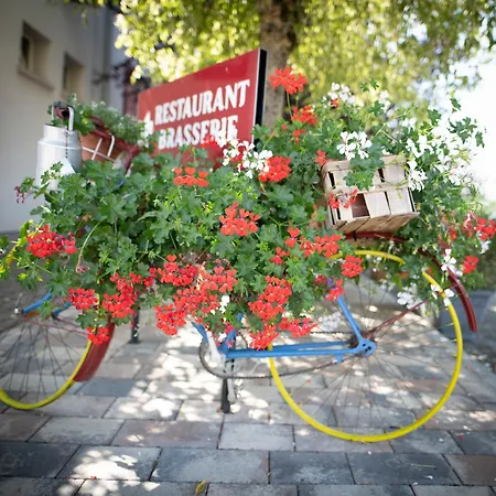 Logis & Restaurant Au Lion D'or 伯恩霍普勒豪特