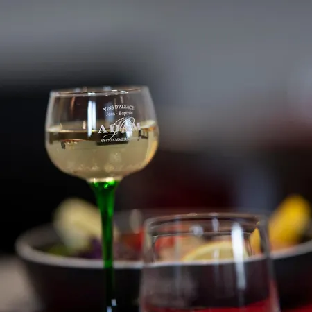 酒店 Logis & Restaurant Au Lion D'or 伯恩霍普勒豪特