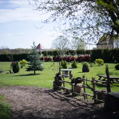 Logis & Restaurant Au Lion D'or 2* 伯恩霍普勒豪特