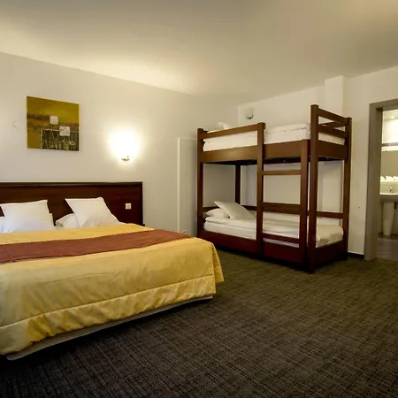 酒店 Logis & Restaurant Au Lion D'or 2*