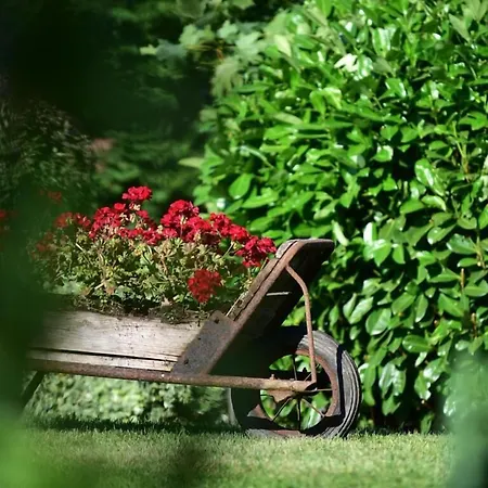 Logis & Restaurant Au Lion D'or Hotel Burnhaupt-le-Haut