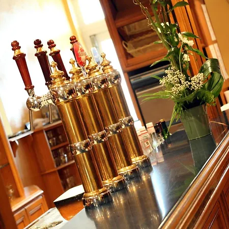 酒店 Logis & Restaurant Au Lion D'or 伯恩霍普勒豪特