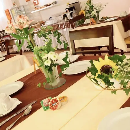 Logis & Restaurant Au Lion D'or Hotel 2*