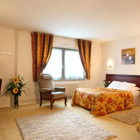 Hotel Logis & Restaurant Au Lion D'or Burnhaupt-le-Haut