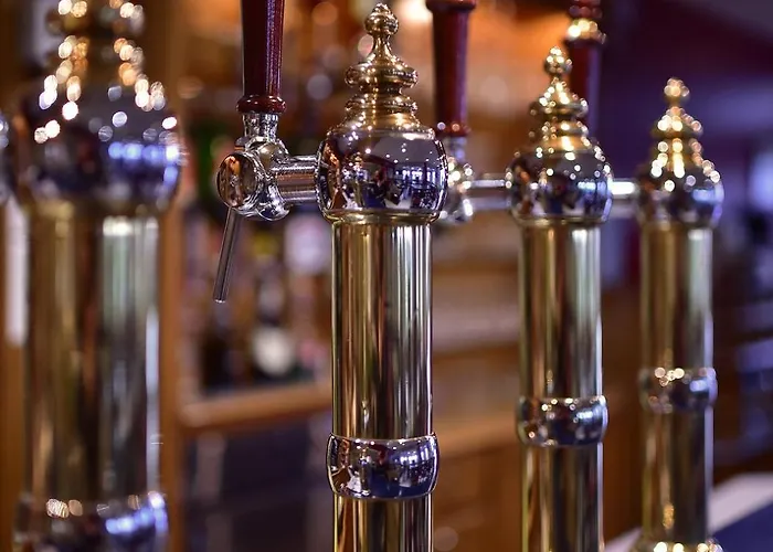 Hotel Logis & Restaurant Au Lion D'or