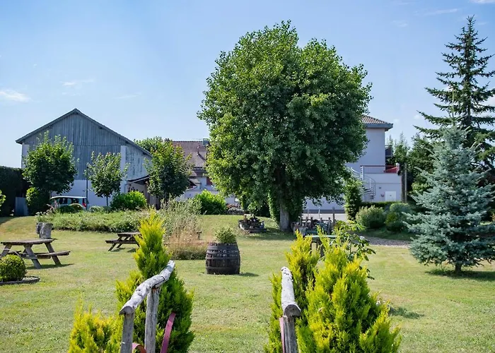 Logis & Restaurant Au Lion D'or 2* Burnhaupt-le-Haut