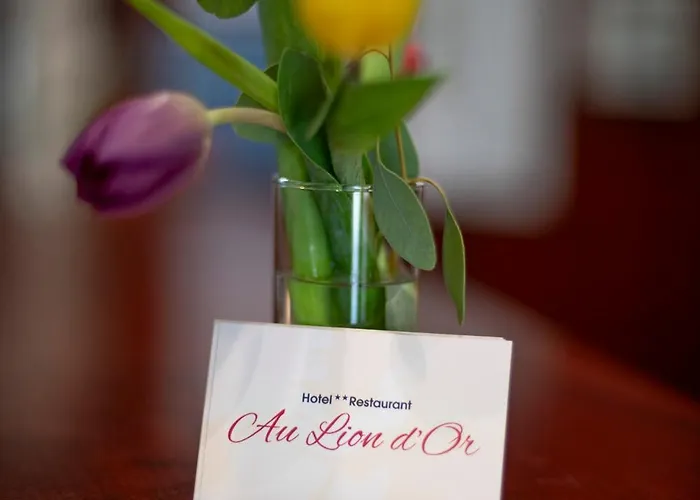 Logis & Restaurant Au Lion D'or 2* Burnhaupt-le-Haut