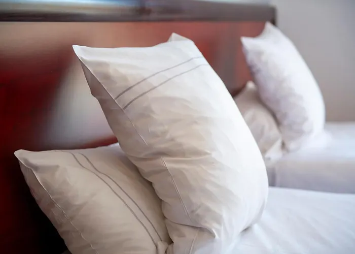 Hotel Logis & Restaurant Au Lion D'or Burnhaupt-le-Haut