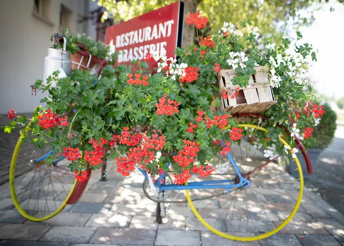 Logis & Restaurant Au Lion D'or Burnhaupt-le-Haut