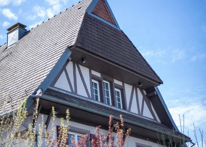 Logis & Restaurant Au Lion D'or