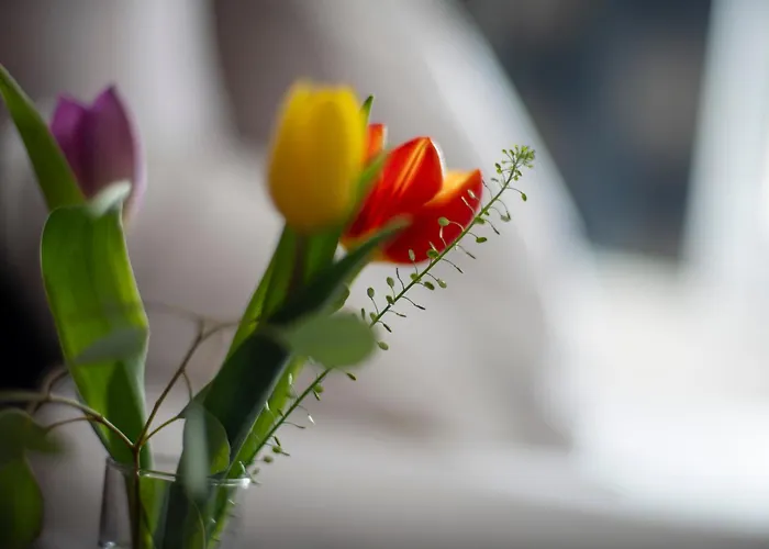 Logis & Restaurant Au Lion D'or 2* Burnhaupt-le-Haut