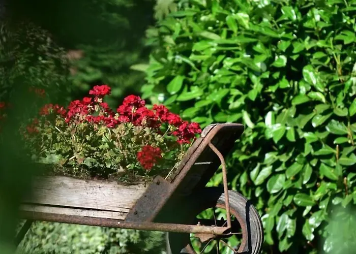 Logis & Restaurant Au Lion D'or Hotel Burnhaupt-le-Haut